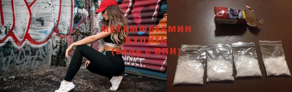 молекула духа Ладушкин
