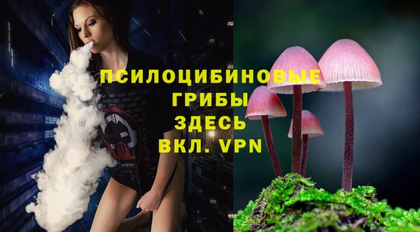прущий лед Липки
