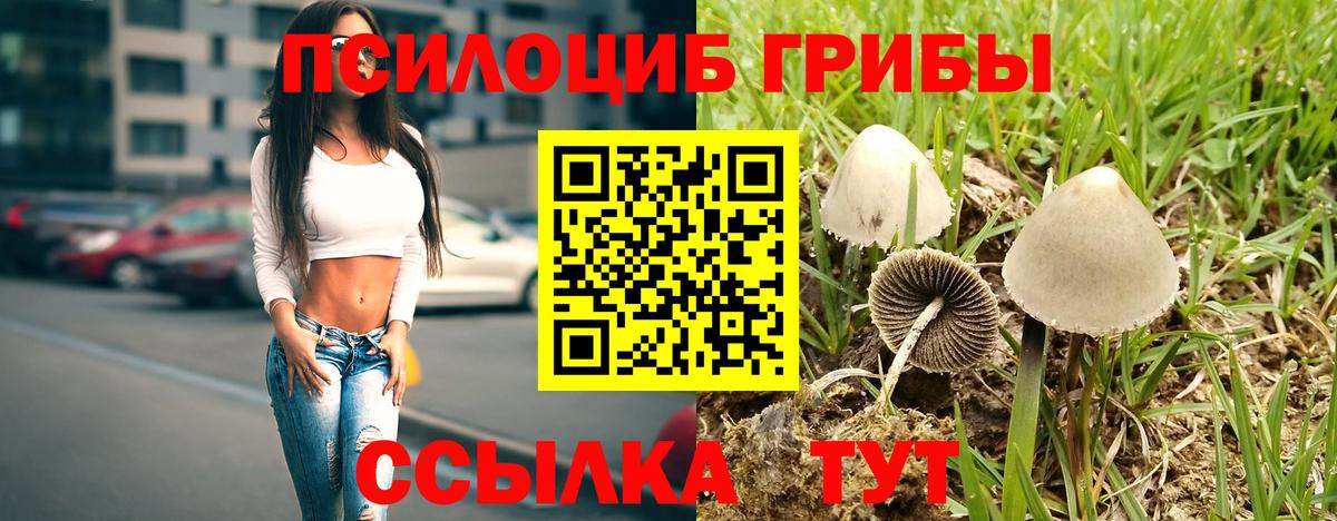 Галлюциногенные грибы мухоморы  Вход с VPN  Красноуфимск 